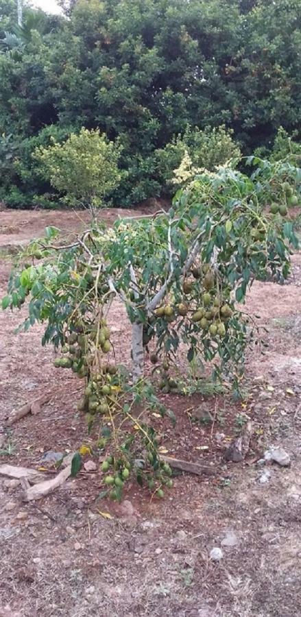 Seri Kenangan Kota Samarahan Εξωτερικό φωτογραφία