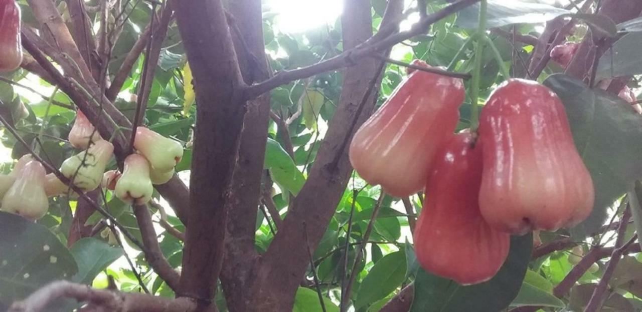 Seri Kenangan Kota Samarahan Εξωτερικό φωτογραφία
